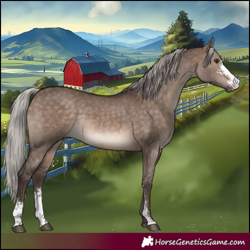 Horse Color:Silver Brown Dun Sabino Rabicano 