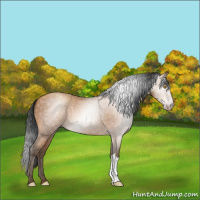 Horse Color:Gray Amber Champagne 