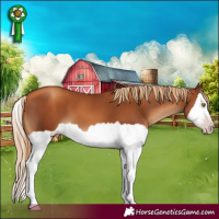 Horse Color:Gray Gold Champagne Splash 