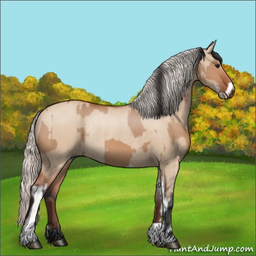 Horse Color:Brown Dun Sabino Rabicano and Silver Brown Dun Sabino Rabicano