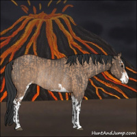 Horse Color:Brown Dun Sabino Rabicano and Brown Dun Sabino Rabicano