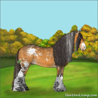 Horse Color:White Spotted Buckskin Sabino Splash 
