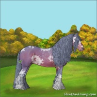 Horse Color:Watercolor White Spotted Brown Ice Sabino
