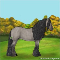 Horse Color:Grullo Roan 