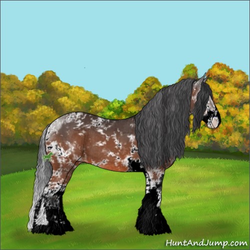Horse Color:ERROR: UNKNOWN ANOMALY
