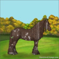 Horse Color:White Spotted Liver Chestnut Sabino