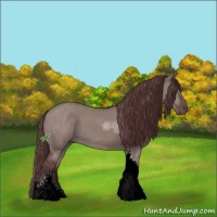Horse Color:Chocolate Grullo Sabino Tobiano