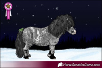 Horse Color:ERROR: UNKNOWN ANOMALY