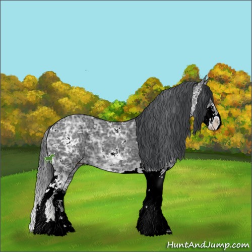 Horse Color:Black Ice Sabino 