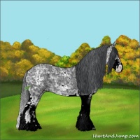 Horse Color:Black Ice Sabino 