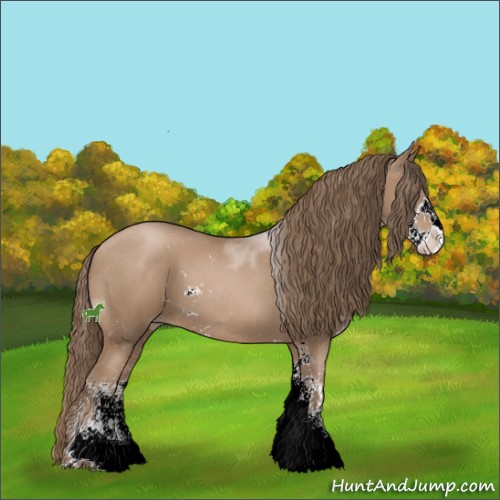 Horse Color:Black Pearl Sabino