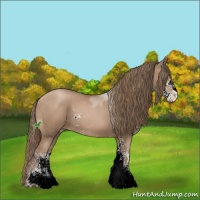Horse Color:Black Pearl Sabino