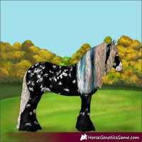 Horse Color:Chestnut Sabino