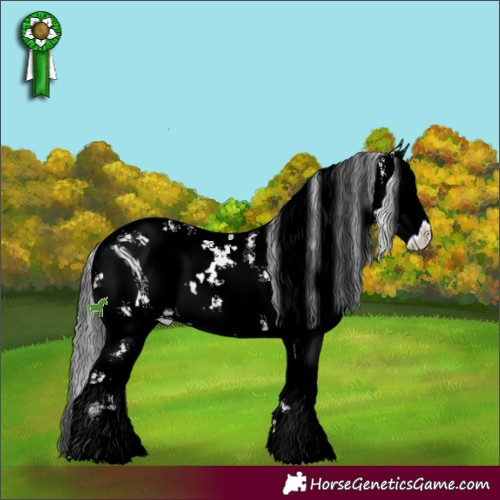 Horse Color:ERROR: UNKNOWN ANOMALY