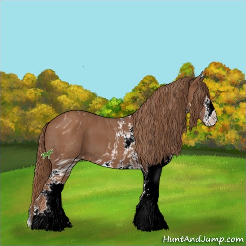 Horse Color:ERROR: UNKNOWN ANOMALY