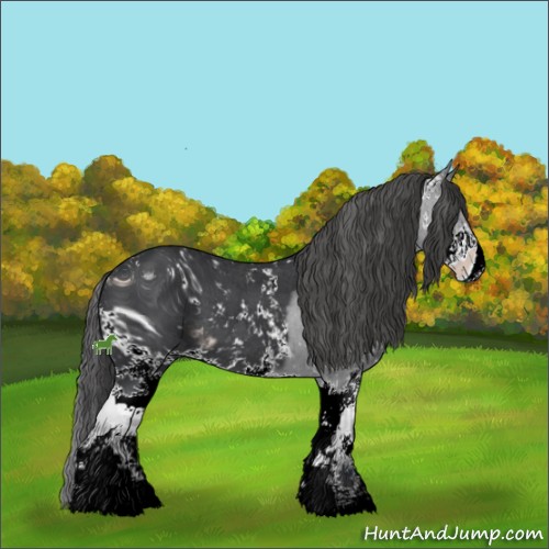 Horse Color:ERROR: UNKNOWN ANOMALY