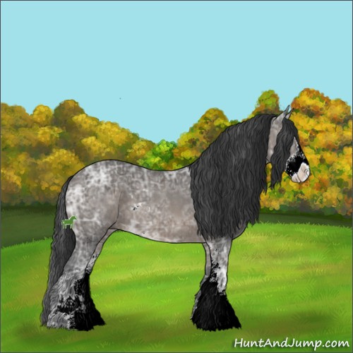 Horse Color:Black Ice Sabino 