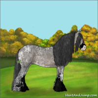 Horse Color:Black Ice Sabino