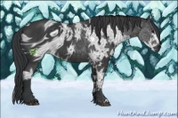 Horse Color:ERROR: UNKNOWN ANOMALY