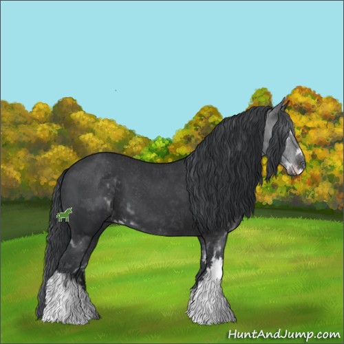 Horse Color:Black Sabino 