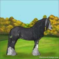 Horse Color:Black Sabino