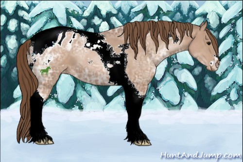 Horse Color:Brown Ice Pearl Sabino Tobiano Appaloosa 