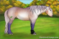 Horse Color:Gray Watercolor Silver Bay
