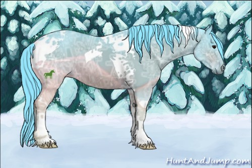 Horse Color:Watercolor Bay Ice Tobiano 