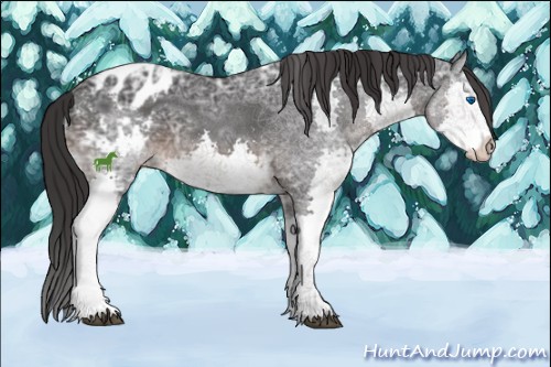 Horse Color:White Spotted Brown Ice Splash Appaloosa 