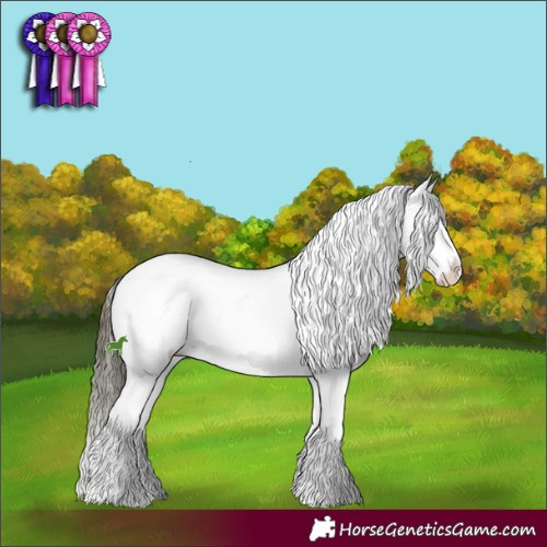 Horse Color:Liver Chestnut Ice Sabino Splash Appaloosa 
