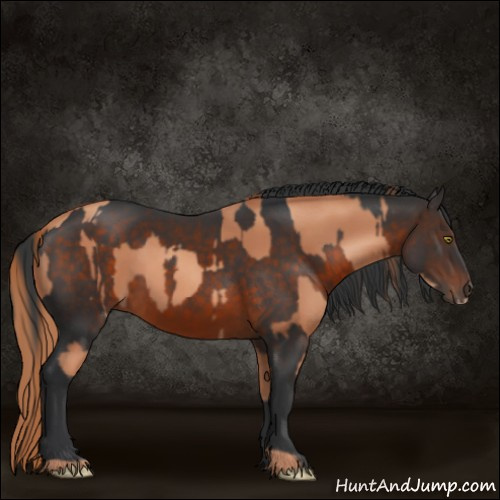 Horse Color:Gold Champagne  and Brown 