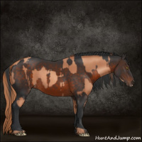 Horse Color:Gold Champagne  and Brown 