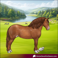 Horse Color:Gray Gold Champagne 
