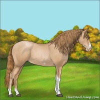 Horse Color:Red Roan Pearl Tobiano Frame 