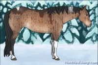 Horse Color:Brown Dun Tobiano Brindle 