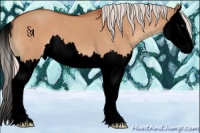 Horse Color:Void Silver Bay Dun Splash 