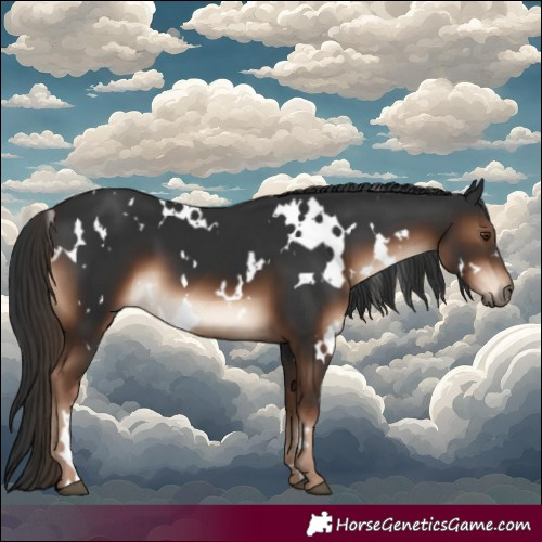 Horse Color:White Spotted Liver Chestnut