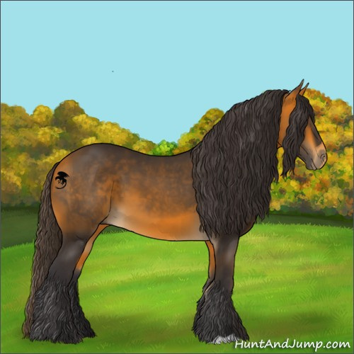 Horse Color:Buckskin 