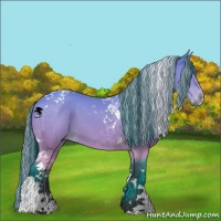 Horse Color:Painted Bay Chinchilla Tobiano 