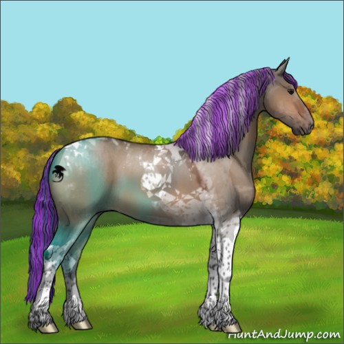 Horse Color:Painted Bay Dun Tobiano 