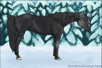 Horse Color:Void Blue Roan 