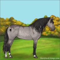 Horse Color:Platinum Buckskin Dun Sabino 