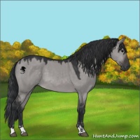 Horse Color:Platinum Brown Dun Sabino