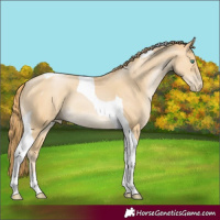 Horse Color:Smoky Black Pearl Tobiano 