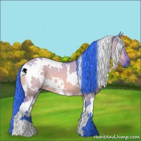 Horse Color:Watercolor White Spotted Brown Dun 