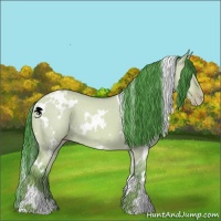 Horse Color:Watercolor White Spotted Classic Champagne Dun 
