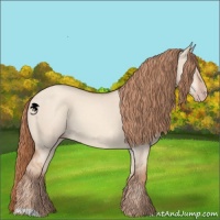 Horse Color:Gold Champagne Dun 