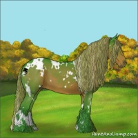 Horse Color:Watercolor White Spotted Liver Chestnut 