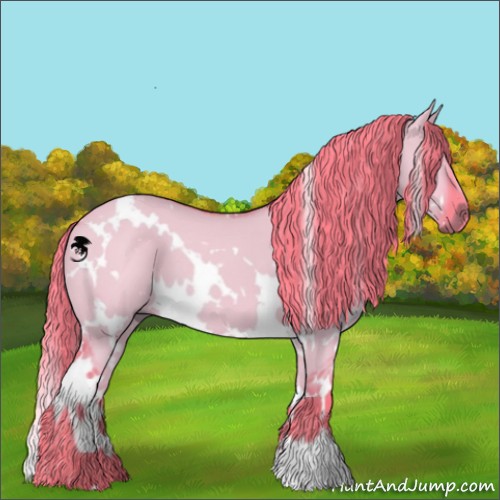 Horse Color:Watercolor White Spotted Liver Red Dun