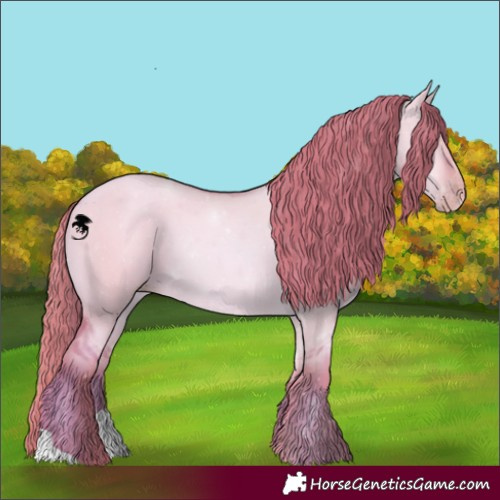 Horse Color:Watercolor Gold Champagne Dun 